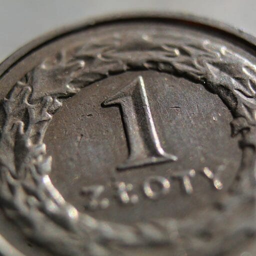 Savvy Ecommerce Entrance